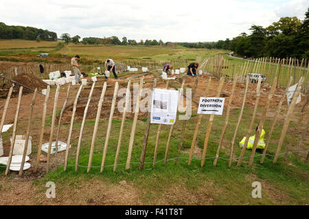 Les gens qui font de l'archéologie dans bradgate park Banque D'Images