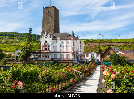 Château Boosenburg dans les vignobles de la région du Rhin moyen oder Mittelrhein, Rüdesheim, Allemagne Banque D'Images