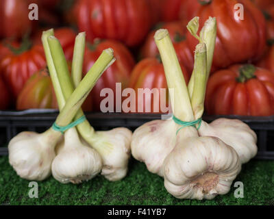 Produire des légumes bulbes Ail - pour la vente au marché intérieur Banque D'Images