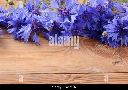 La belle herbe bleue sur fond de bois Banque D'Images