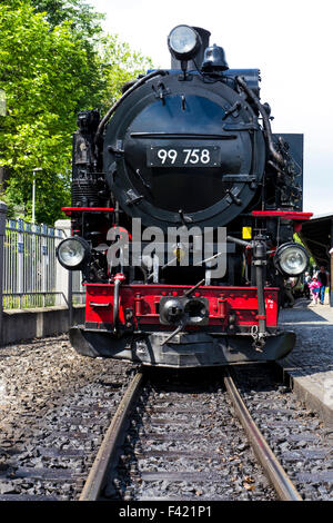 Train à vapeur sur le chemin de fer de Zittau,Saxe ,l'Allemagne. Banque D'Images