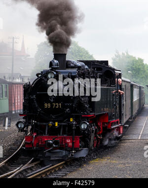 Train à vapeur sur le chemin de fer de Zittau,Saxe ,l'Allemagne. Banque D'Images