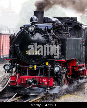 Train à vapeur sur le chemin de fer de Zittau,Saxe ,l'Allemagne. Banque D'Images