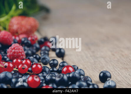 Châssis d'été lumineux Banque D'Images