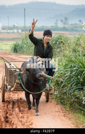 Un homme avec buffalo nr Phong Nha, Quảng Bình Province, Vietnam Banque D'Images