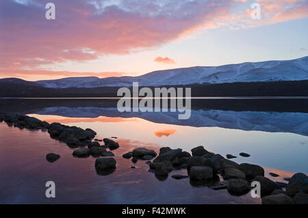 Belle hiver aube, le Loch Morlich Cairngorms, reflétée dans l'eau encore, les Highlands écossais, l'Ecosse UK Banque D'Images