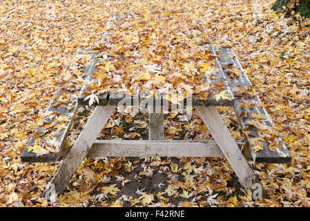 Table de pique-nique couverte de feuilles d'automne Banque D'Images