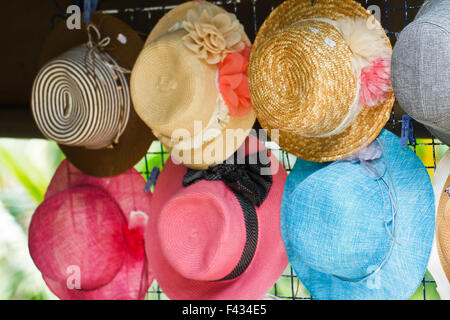 Jolie fleur avec chapeau de paille Banque D'Images