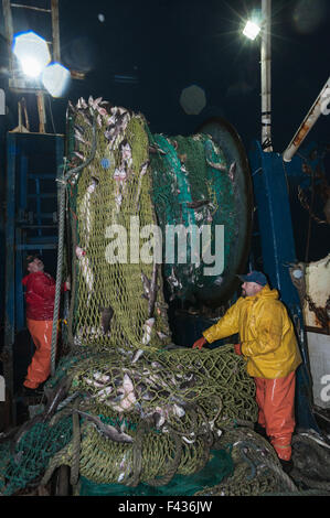 Nettoyage du poisson hors de chalutier dragueur/net. Georges Bank, New England Banque D'Images