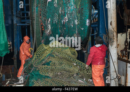 Nettoyage du poisson hors de chalutier dragueur/net. Georges Bank, New England Banque D'Images