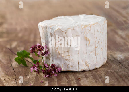 Moisi français le fromage bleu d'Auvergne Banque D'Images