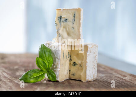 Moisi français le fromage bleu d'Auvergne Banque D'Images