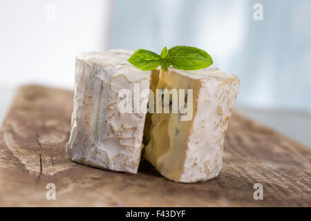 Moisi français le fromage bleu d'Auvergne Banque D'Images