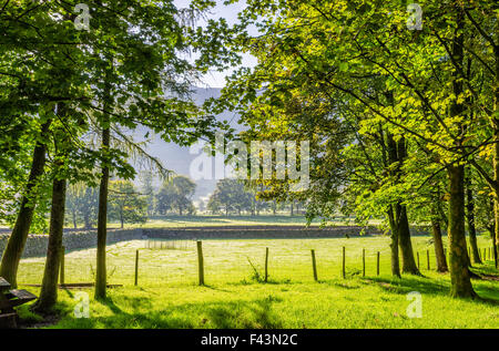 Scène Anglais rural rétroéclairé Banque D'Images
