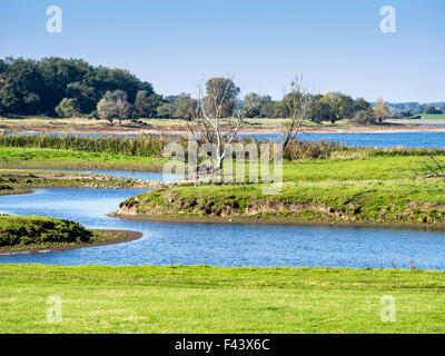 Elbe Randonnée à vélo, rive est de la rivière Elbe, plaine d'entre Dömitz et Havelberg, Brandenburg, Germany, Europe Banque D'Images