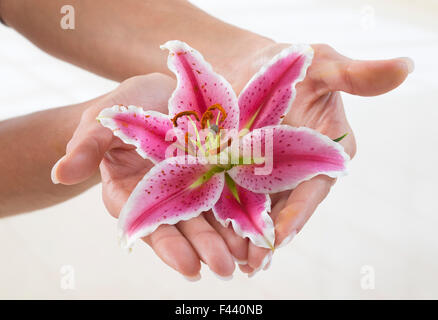 Belle femme mains et fleur de lys sur fond blanc Banque D'Images