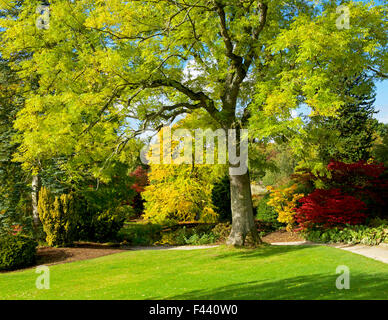 Harlow Carr, la Royal Horticultural Society's gardens, près de Harrogate, North Yorkshire, England UK Banque D'Images