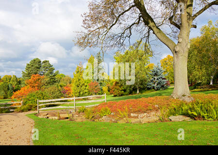 Harlow Carr, la Royal Horticultural Society's gardens, près de Harrogate, North Yorkshire, England UK Banque D'Images