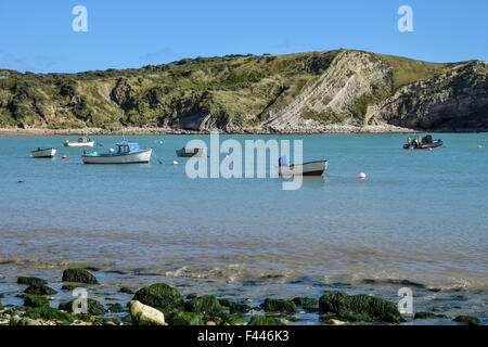 Crique de Lulworth Cove, Dorset, UK Banque D'Images