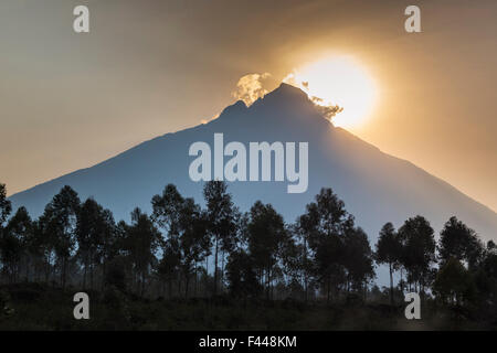 Lever du soleil derrière le mont Mikeno, le Parc National des Virunga, en République démocratique du Congo, août 2010. Banque D'Images