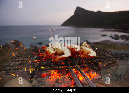 Côte ouest de langoustes (Jasus lalandii), qui ont été capturés par freedivers le matin sont cuits sur un barbecue face à l'océan et la plage à Smitzwinkel Bay (près de Cape Point), Western Cape, Afrique du Sud. 3e prix à l'homme et de la Nature CA Banque D'Images