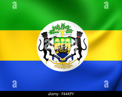 Presidential Standard du Gabon Banque D'Images