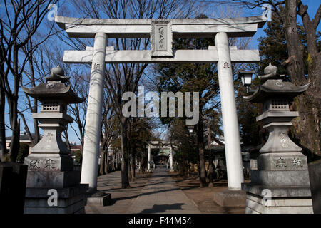 Béton Shinto gate et pathway Banque D'Images