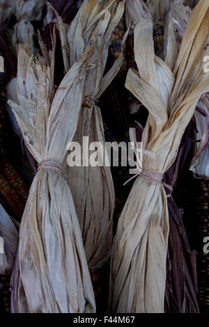 Les enveloppes de maïs indien à la Berkeley Bowl Market à Berkeley, Californie. Banque D'Images