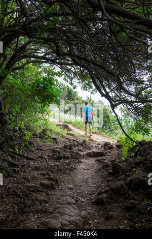 Randonneurs sur le sentier d'Akoakoa Point, Polulu Valley, Grande Île d'Hawai'i, Hawaii, USA Banque D'Images