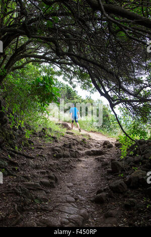 Randonneurs sur le sentier d'Akoakoa Point, Polulu Valley, Grande Île d'Hawai'i, Hawaii, USA Banque D'Images