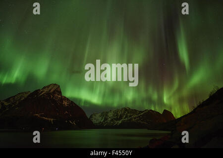 Northern Lights, Reine, les îles Lofoten, Norvège Banque D'Images