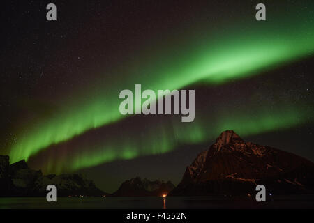 Northern Lights, Reine, les îles Lofoten, Norvège Banque D'Images