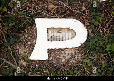 C'est une photo de la lettre P de l'alphabet c'est faire du bois et peint en blanc Banque D'Images
