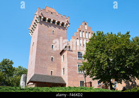 POZNAN, Pologne - 20 août 2015 : centre historique de la ville, la reconstruction du château Roi Przemyslaw à Poznan Banque D'Images