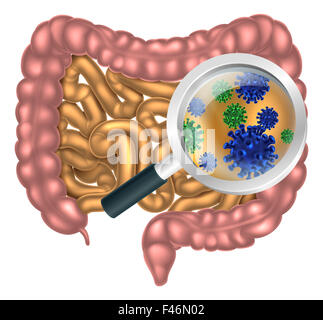 Loupe centrée sur le système digestif, l'appareil digestif ou canal alimentaire montrant les cellules de bactéries ou virus. Cou Banque D'Images