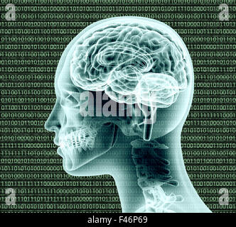 X-ray image de tête humaine avec binairy code et un cerveau. Banque D'Images