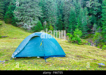 Blue tente de camping dans une forêt verte Banque D'Images