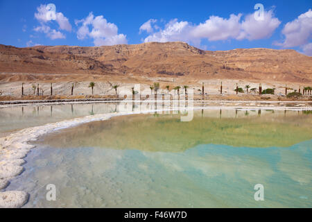 Bord de la mer Morte en Israël Banque D'Images