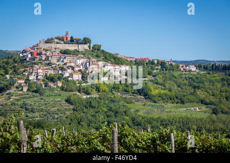 Village idyllique sur une colline avec forteresse vénitienne, vignes en face, Motovun, Istrie, Croatie Banque D'Images