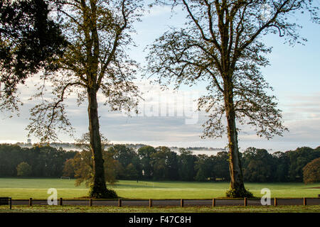 Tayside, Dundee, Écosse, Royaume-Uni, 15 octobre 2015. Météo France : un matin d'automne froid et frosty sunshine à Camperdown Country Park casting de longues ombres profondes. Les arbres se tourner vers leurs couleurs automnales car ils commencent à se libérer de leurs feuilles. Quelques parcelles d'épais brouillard verglaçant qui balaie le paysage Dundee avec des températures qui atteignent au moins 6°C. © Dundee Photographics / Alamy Live News. Banque D'Images