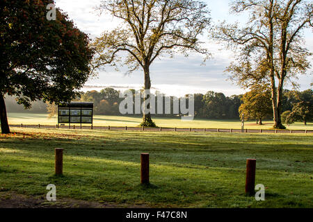 Tayside, Dundee, Écosse, Royaume-Uni, 15 octobre 2015. Météo France : un matin d'automne froid et frosty sunshine à Camperdown Country Park casting de longues ombres profondes. Les arbres se tourner vers leurs couleurs automnales car ils commencent à se libérer de leurs feuilles. Quelques parcelles d'épais brouillard verglaçant qui balaie le paysage Dundee avec des températures qui atteignent au moins 6°C. © Dundee Photographics / Alamy Live News. Banque D'Images