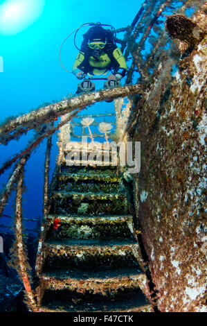 MV Karwela Wreck et scuba diver, naufrage, Gozo, Malte, Europe du Sud, Mer Méditerranée Banque D'Images