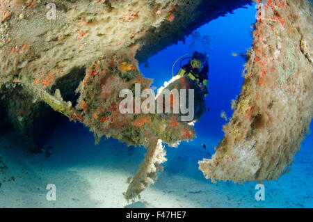 Naufrage MV Cominoland et scuba diver und hélice, Xwejni-Bay, Gozo, Malte, Europe du Sud, Mer Méditerranée Banque D'Images