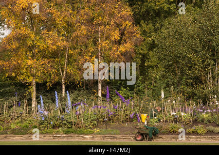 Météo UK, Londres, 15 octobre 2015. Un jardinier travaille comme Regent's Park montre des signes d'automne couleur. Le soleil n'a fait de brèves apparitions mais devrait briller à Londres de nouveau demain. Credit : Patricia Phillips/Alamy Live News Banque D'Images