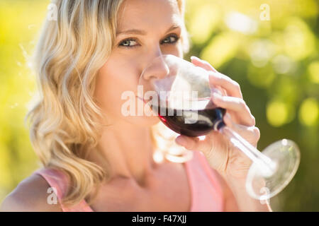 Portrait of blond woman drinking red wine Banque D'Images