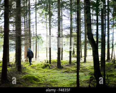 Un homme passe, l'explosion, la Suède. Banque D'Images