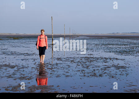 Marchant sur la voie de St Cuthbert, Lindisfarne, Northumberland. Banque D'Images