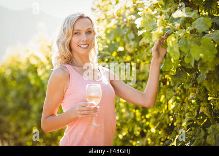 Portrait of smiling woman holding wineglass et toucher grapevine Banque D'Images