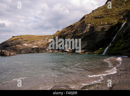 Côte nord des Cornouailles de rochers à Tintagel Cornwall England UK Banque D'Images