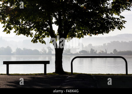 Silhouette d'arbre et banc vide avec vue sur un château brumeux Semple Loch, Castle Semple Country Park, Lochwinnoch, Renfrewshire, Écosse, Royaume-Uni Banque D'Images